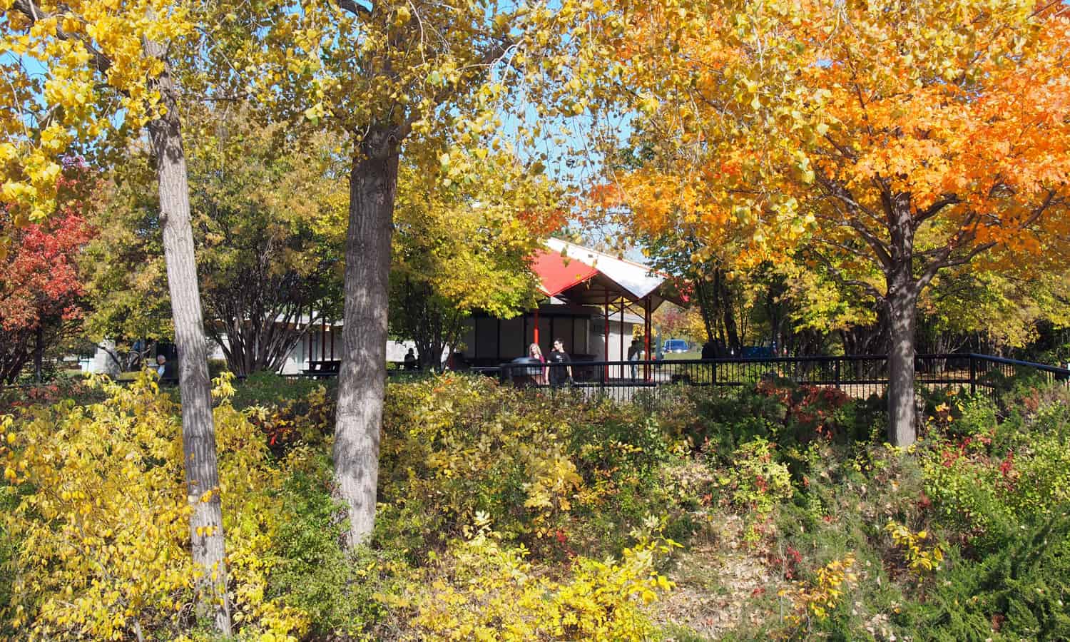 Looking towards the pavilion with fall foliage in the foreground