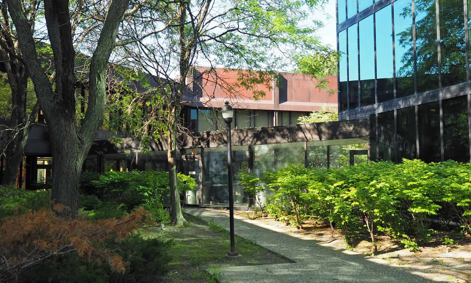 Rear courtyard between the existing building and the 1993 addition