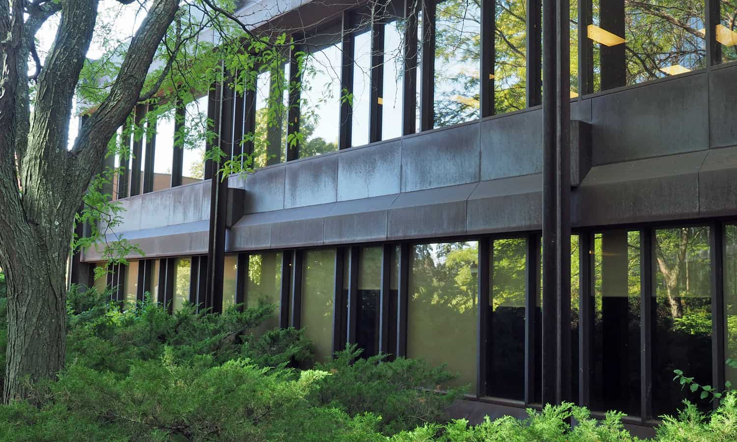 Detail of the south wing's east elevation facing the 1993 addition