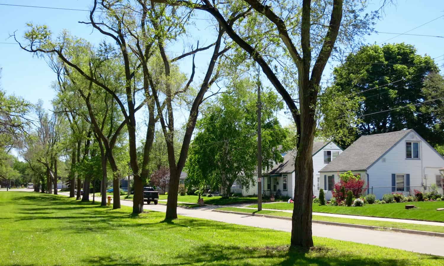 Veterans Green is a linear tree-lined park and the largest of the neighbourhood's public open space